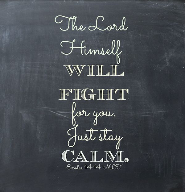 Exodus 14:14 - The Lord himself will fight for you. Just stay calm. (NLT)